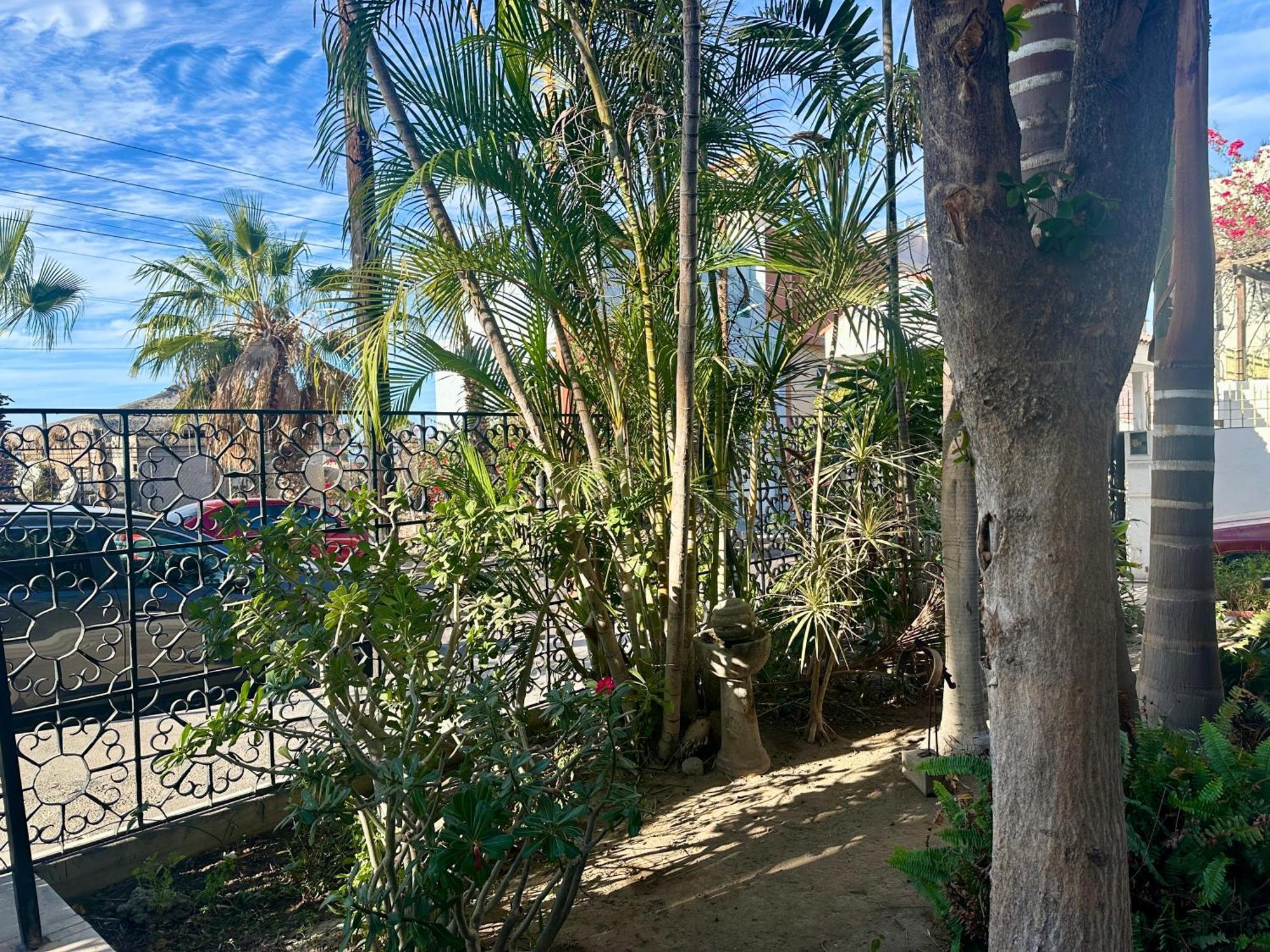 Casa Kismet Tu Destino En La Paz Suite 1 Buitenkant foto